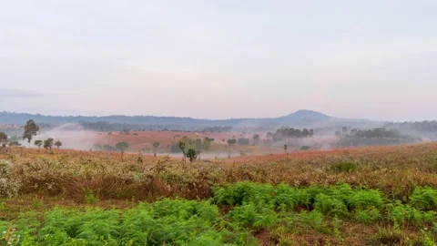 Time-lapse of a valley surrounded by mountains and covered with dense ground fog Video stock 168362034