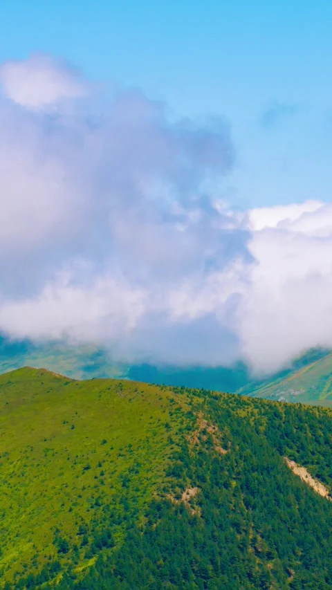 Time lapse vertical video of rolling clouds over the forest covered mountains Stock Footage 289613808