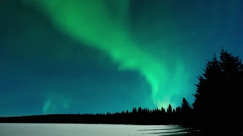 Time lapse of very active green Aurora with silhouettes of pine and spruce trees Vídeo Stock 149610770