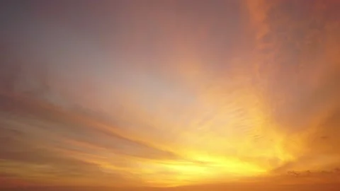Time lapse video 4K. Nature video High quality foottage. Scene of Colorful roman Vídeos de archivo 143364395