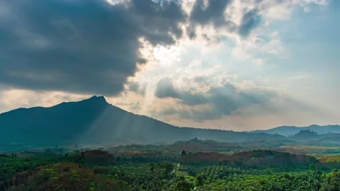 Time lapse video 4K. Nature video High quality foottage. Scene of Colorful roman 库存影片 149495268