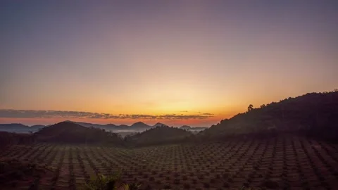 Time lapse video 4K. Nature video High quality foottage. Scene of Colorful roman Stock Footage 149495384
