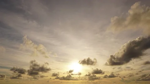Time lapse video 4K. Nature video High quality footage. Scene of Colorful roman Видео 153382931
