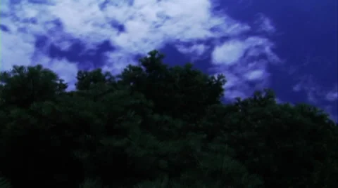 Time-lapse video. Clouds above tree. Stock Footage 35092127
