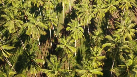 Time lapse video of clouds Stock Footage 128786012