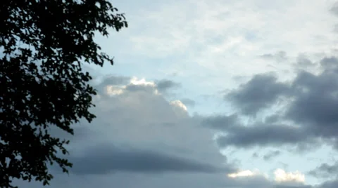 Time-lapse video clouds. Tree brances. Stock-Footage 35628757