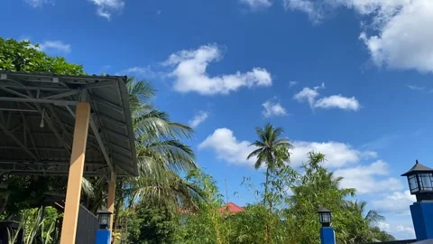 Time lapse video of cloudy blue sky and coconut palm tree Stock Footage 289367816