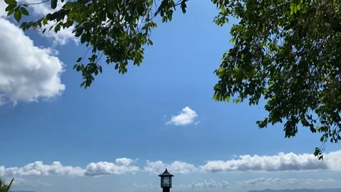 Time lapse video of cloudy blue sky and tree leaves Stock Footage 289367821