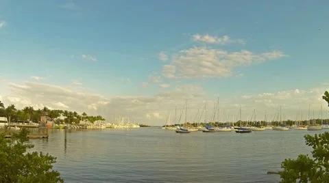 Time lapse video of the Dinner Key Marina in beautiful Coconut Grove Florida Video stock 46093751