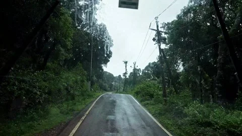 A time lapse video of driving amidst small forest road during the rainy day.. Stock Footage 314206549