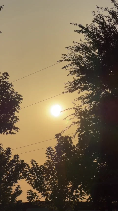 Time lapse video of eclipse with bird passing by in golden evening sky Stock Footage 342324393