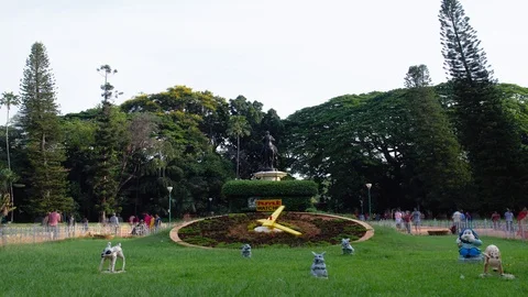 Time lapse video of floral clock at the Lalbhag botanical garden, Bangalore Stock Footage 90459848