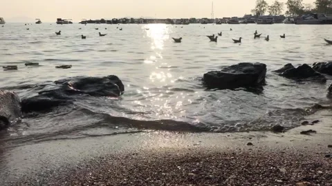 Time-lapse video Stock Footage 144341934