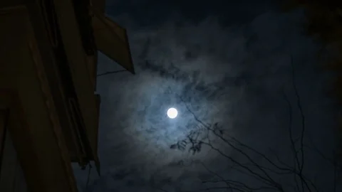 Time lapse video of full moon rising behind clouds passing Stock Footage 82181415