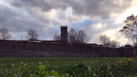 Time lapse video of grass moving because of the wind with big ancient w.. Stock Footage 71002091