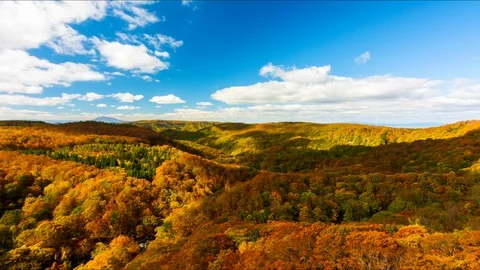 Time lapse video The Mountain view with the autumnal foliage in the fall seas Stockbeeldmateriaal 100175209