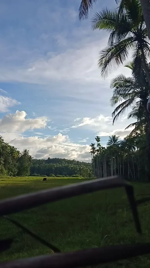 Time lapse video of moving clouds in a blue sky from rice field Stock Footage 162617384