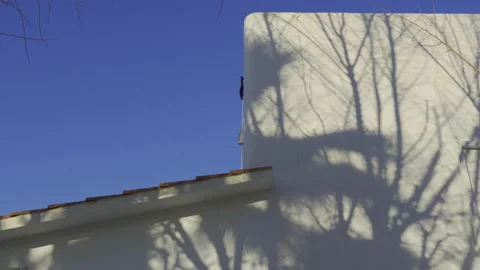 Time-lapse video of moving, dancing tree brunch shadows across white house Stock Footage 233666727