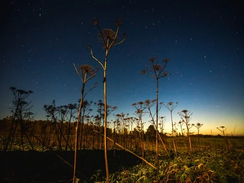 Time lapse video of night sky Stock Footage 76601996