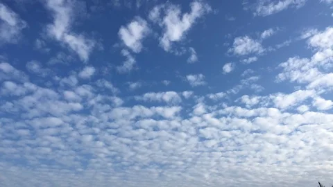 Time lapse video at noon, with the sky bright blue and white. Beautiful cloud mo Stock Footage 113066059