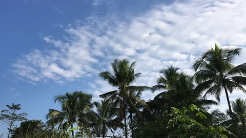 Time lapse video at noon, with the sky bright blue and white. Beautiful cloud mo Stock Footage 113066217