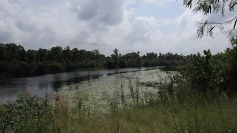 Time lapse video of a river in the Sri Lanka, landscape view from the river. Video stock 232875880