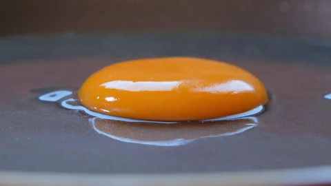Time-lapse video of single egg being cooked in a smoking hot pan. Stock Footage 280832565