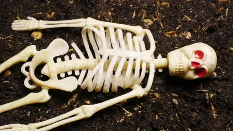 Time-lapse video of a skeleton and grass growing. Stock Footage 159628442