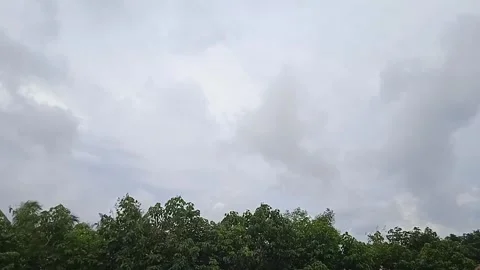 Time Lapse Video of Storm Clouds Moving and Trees Swaying Stock Footage 307315772