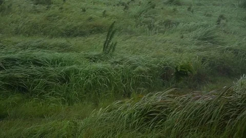 Time lapse video of Suan Ya Luang, Nan Province North of Thailand with moving Stock Footage 83911907