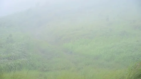 Time lapse video of Suan Ya Luang, Nan Province North of Thailand with moving Stock Footage 83912017