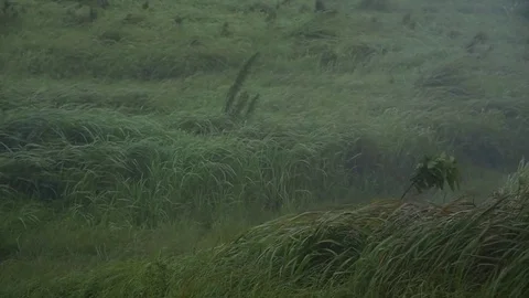 Time lapse video of Suan Ya Luang, Nan Province North of Thailand with moving Stock Footage 83912659