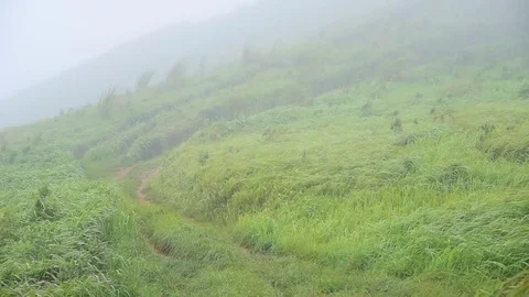 Time lapse video of Suan Ya Luang, Nan Province North of Thailand with moving Stock Footage 83912727