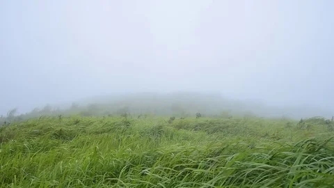 Time lapse video of Suan Ya Luang, Nan Province North of Thailand with moving Stock Footage 83913216