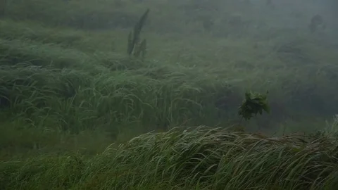 Time lapse video of Suan Ya Luang, Nan Province North of Thailand with moving Stock Footage 83914044