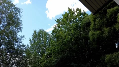 Time lapse video of summer sky in backyard Stock Footage 159203630