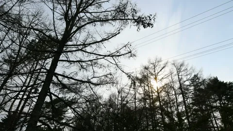 A time-lapse video of the sunset. Video stock 128465205