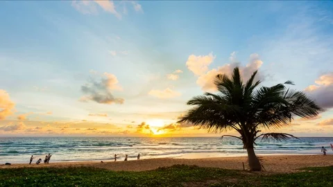 Time lapse video Tree on the beach with Change of Light Colorful sunset with  Stock Footage 97376255