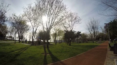 Time lapse video of tree shadow movement as the earth spinning Stock Footage 82191590