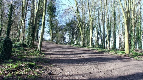A time lapse video of tree shadows in the counttyside Stock Footage 73659214