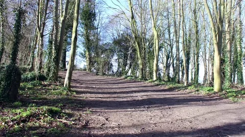 A time lapse video of tree shadows in the counttyside Stock Footage 73659301