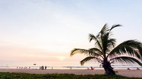 Time lapse video video The coconut tree and Scene of Colorful sunset with Mov Stock Footage 102204296