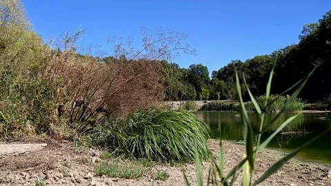 A time-lapse video of a water source Stock Footage 317649581