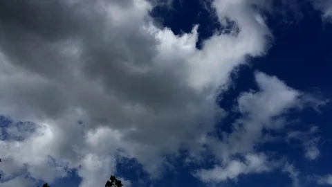 Time lapse video of white cloud flowing through blue sky Stock Footage 115778270