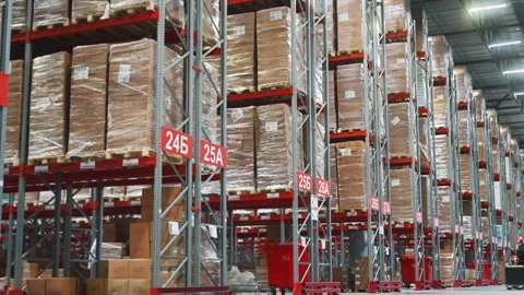 Time lapse video of workers on forklifts transporting boxes in a warehouse Stock Footage 316704817