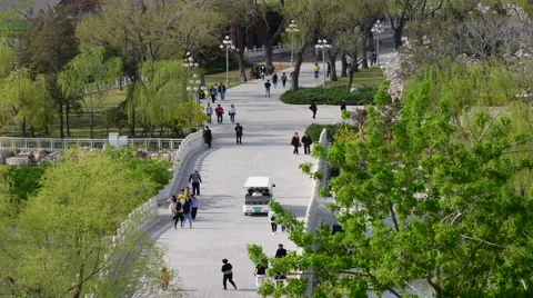 Time lapse view of Aerial view Crowd of asian people walking in park. Stock Footage 62187199