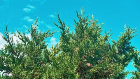 Time-lapse view of clouds Stock Footage 308018786