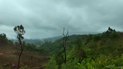 Time-lapse view of clouds on a mountain in rainy season. Mountains in the mist. Stock Footage 311966210