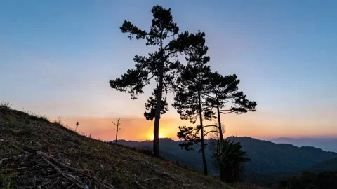 Time lapse view of colorful sunset behind pine trees on a hill in Viang Hang Stock Footage 265394309