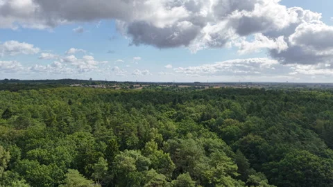 Time-lapse view of dramatic clouds drifting over a vast green forest landscape Stock Footage 341360812